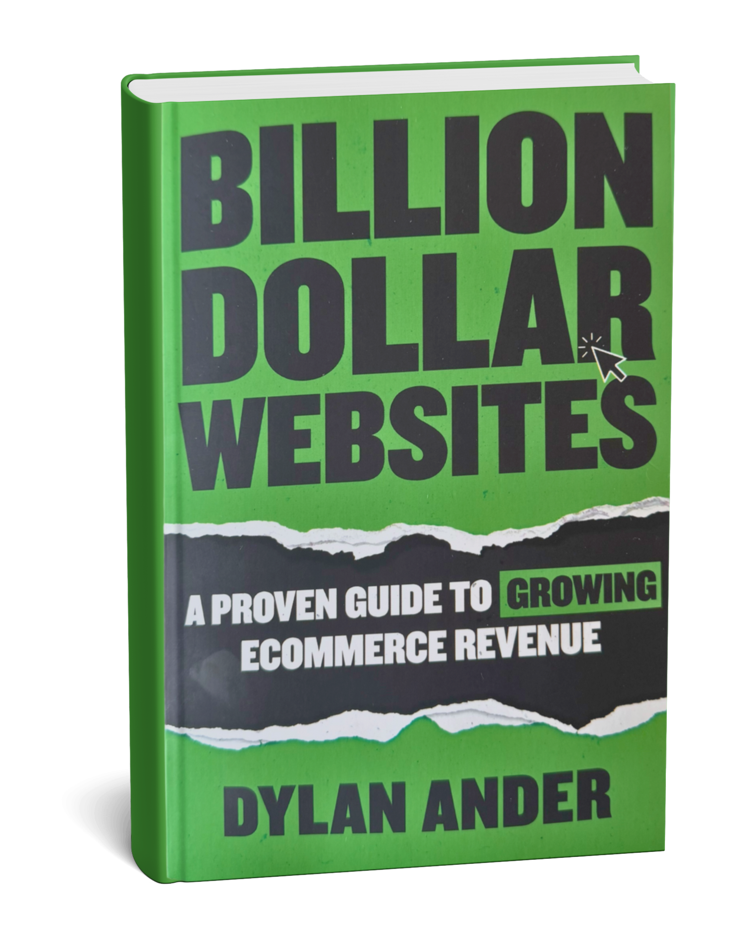 Billion Dollar Websites - A Proven Guide To Growing Ecommerce Revenue by Dylan Ander